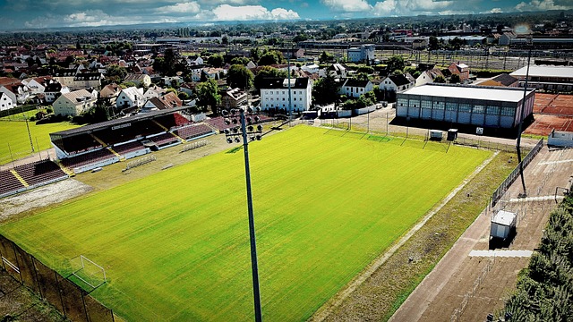 化的体现 化的体现