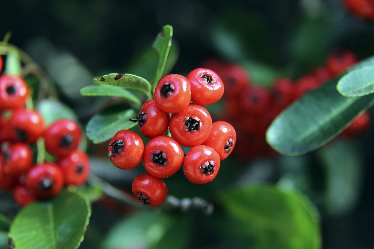 我會為自己 我會為自己