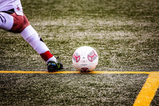 再结合帕尔 再结合帕尔