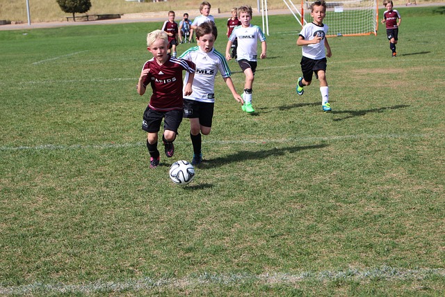 己的技术能 己的技术能